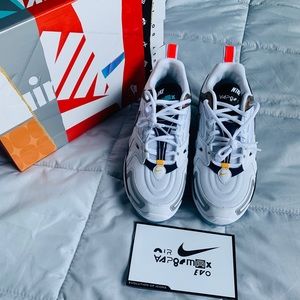 Nike Air Vapormax Evo shoes